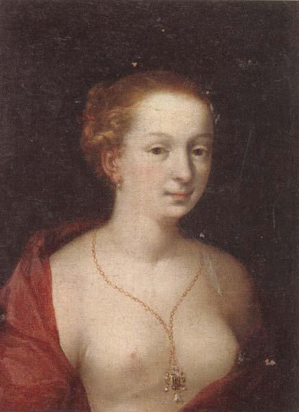 unknow artist A Young girl in a state of undress,wearing a burgundy mantle,and a gold chain and pendant Germany oil painting art